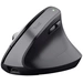 Trust Bayo+ Ergonomische Maus Bluetooth® Optisch Schwarz 6 Tasten 800 dpi, 1200 dpi, 1600 dpi, 2400 dpi Ergonomisch, Geräuscharme Trust Bayo+ Ergonomische Maus Bluetooth® Optisch Schwarz 6 Tasten 800 dpi, 1200 dpi, 1600 dpi, 2400 dpi Ergonomisch, Geräuscharme