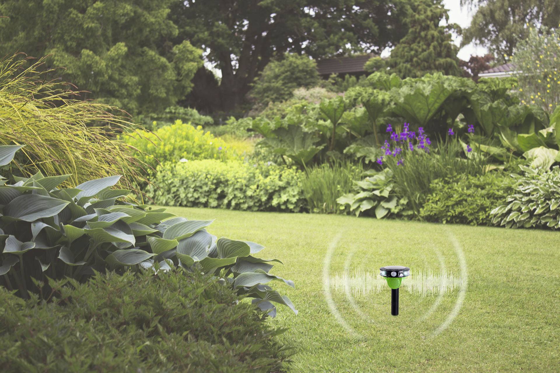 Ein Garten mit üppiger Vegetation, in dem ein elektronisches Gerät im Rasen steckt, sendet Wellen aus, um Tiere fernzuhalten.