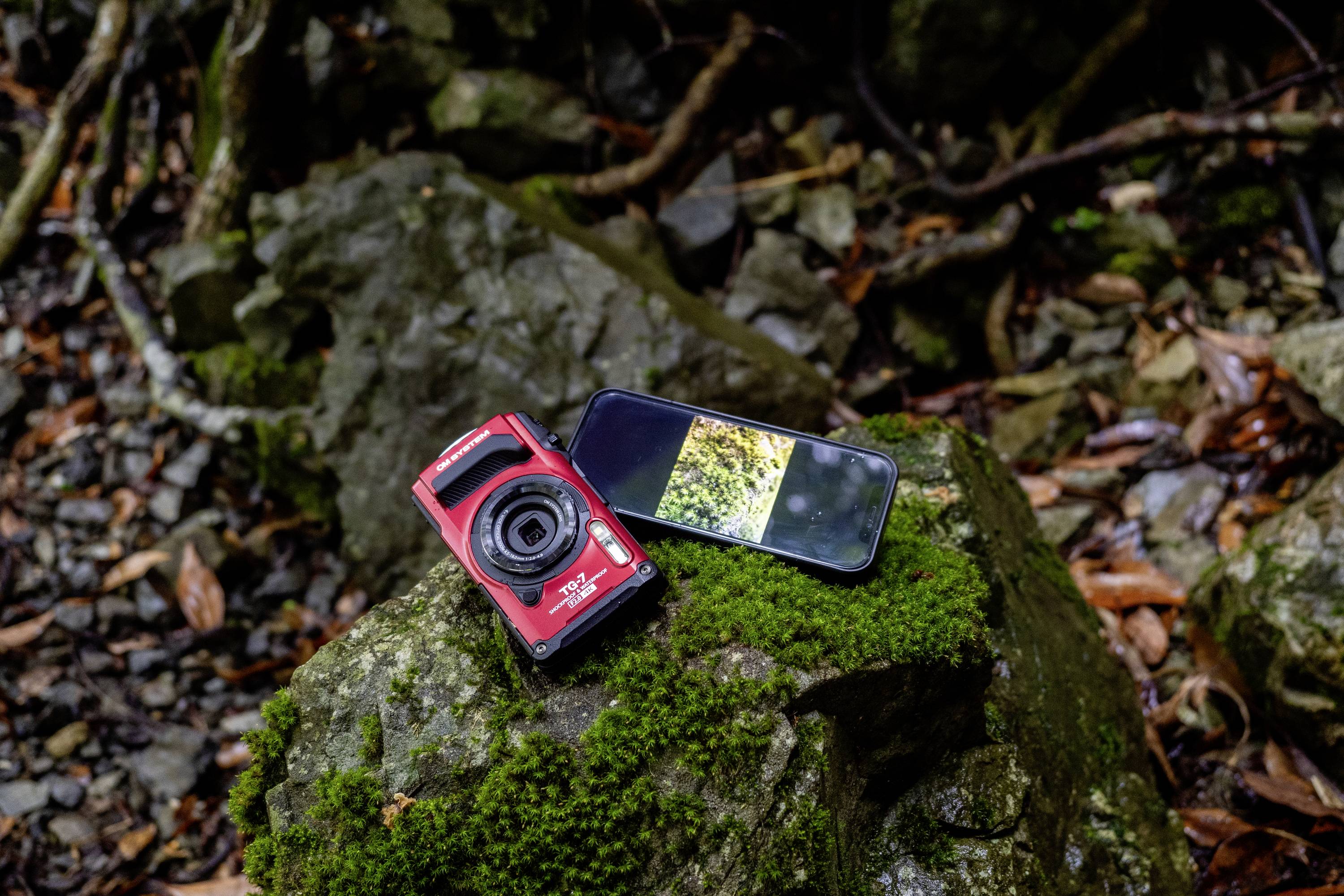 Eine rote Kamera und ein Smartphone liegen auf einem moosbedeckten Stein im Wald. Das Smartphone zeigt ein Foto des Waldbodens.