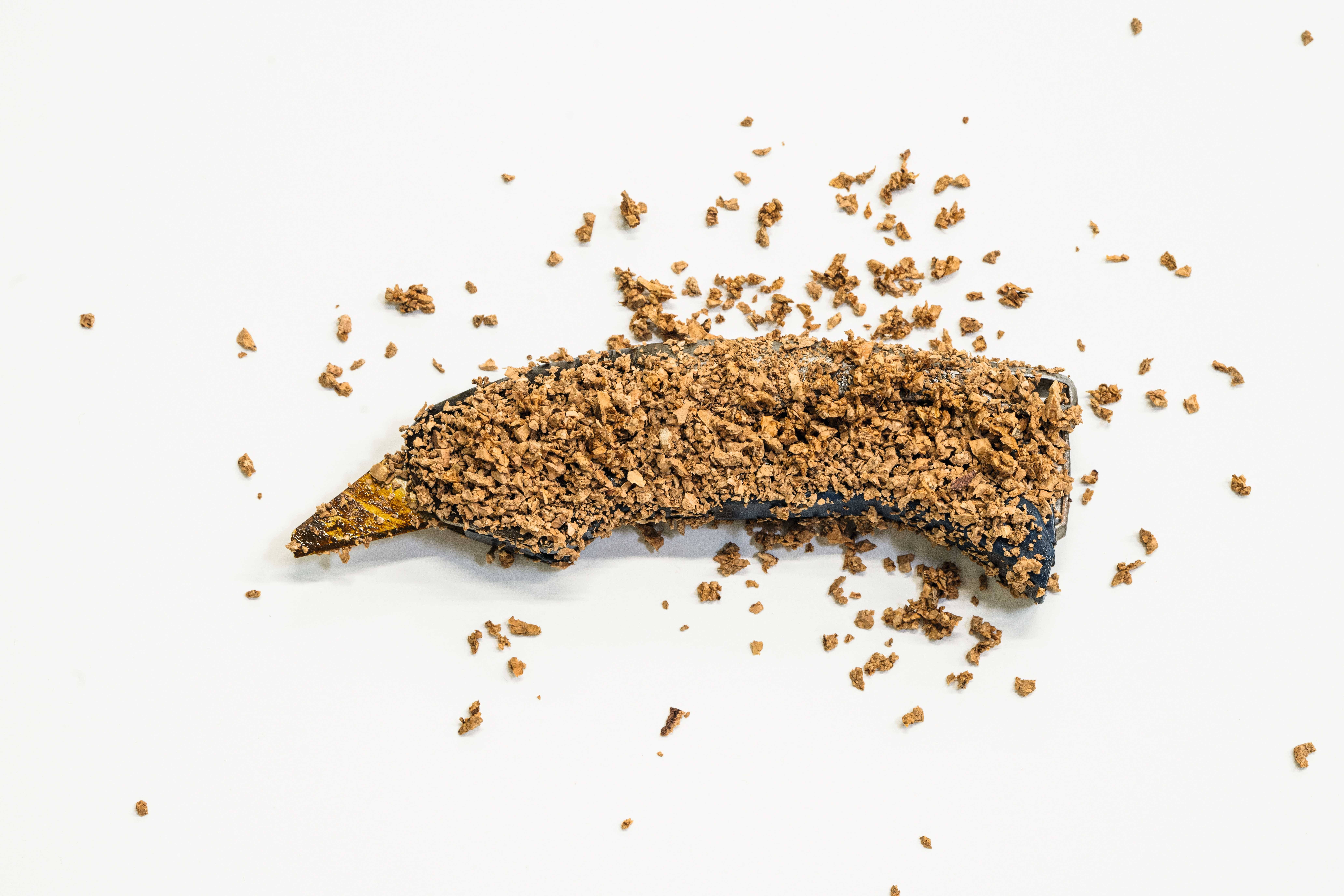 Eine Banane mit Schokoladenstückchen bedeckt, auf einem weißen Hintergrund. Die Schokoladenstückchen sind über die Banane verstreut.