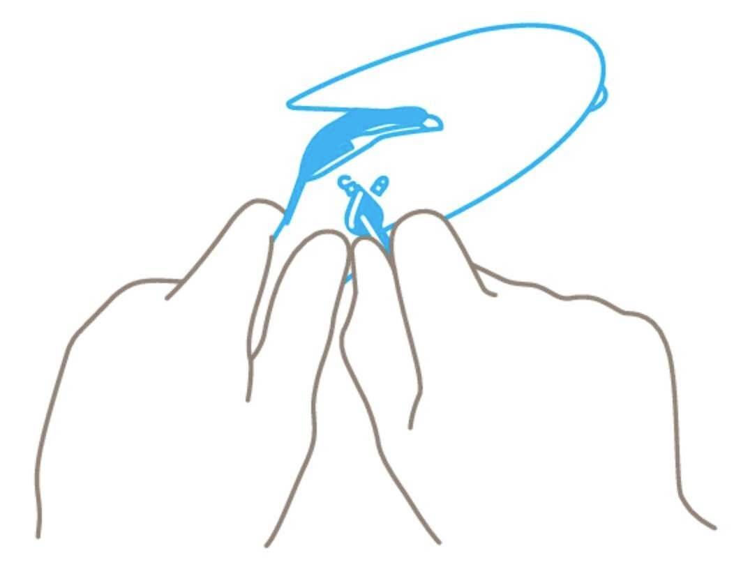 Zwei Hände halten eine Kontaktlinse. Eine blaue Zeichnung zeigt einen springenden Delfin, der die richtige Ausrichtung der Linse darstellt.