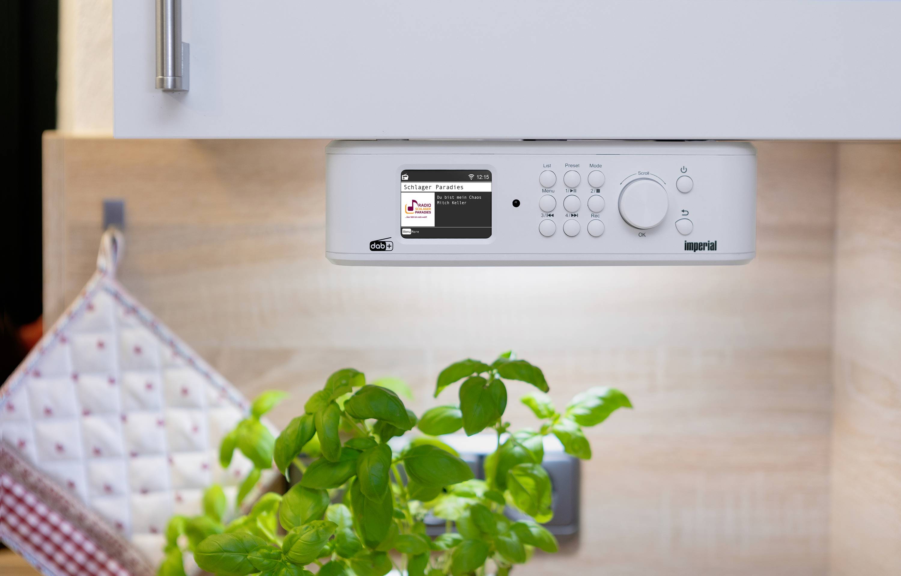 Unter einem Küchenschrank ist ein weißes Küchenradio mit Display angebracht. Darunter eine grüne Pflanze auf der Arbeitsplatte.