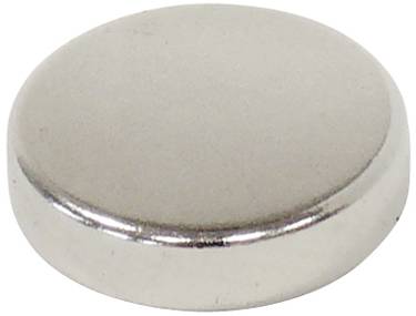 Ein runder, glänzender Metallgegenstand, der einem kleinen Knopf ähnelt. Eventuell Teil eines Magnets oder einer Batterie.