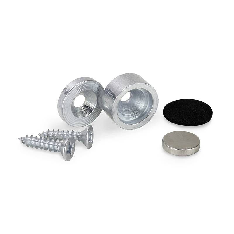 Zwei silberne Schrauben, zwei Metallringe, ein schwarzer Filz und ein kleiner Metallmagnet auf weißem Hintergrund.