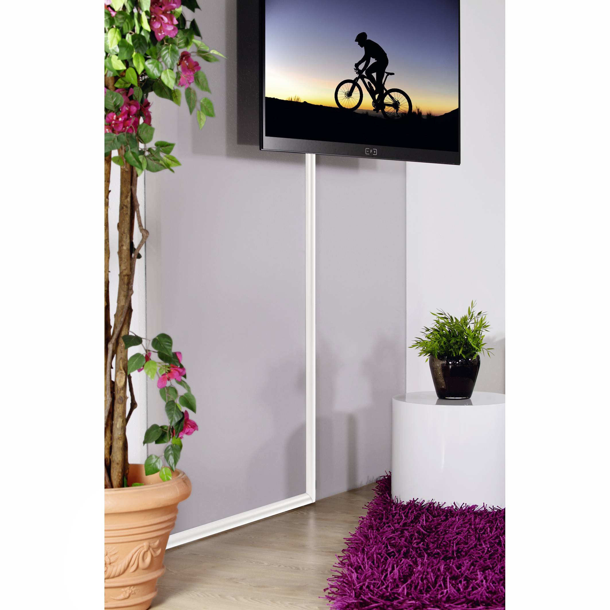 Ein Raum mit einem blühenden Pflanzenarrangement und einem Bild mit einem Radfahrer bei Sonnenuntergang an der Wand.