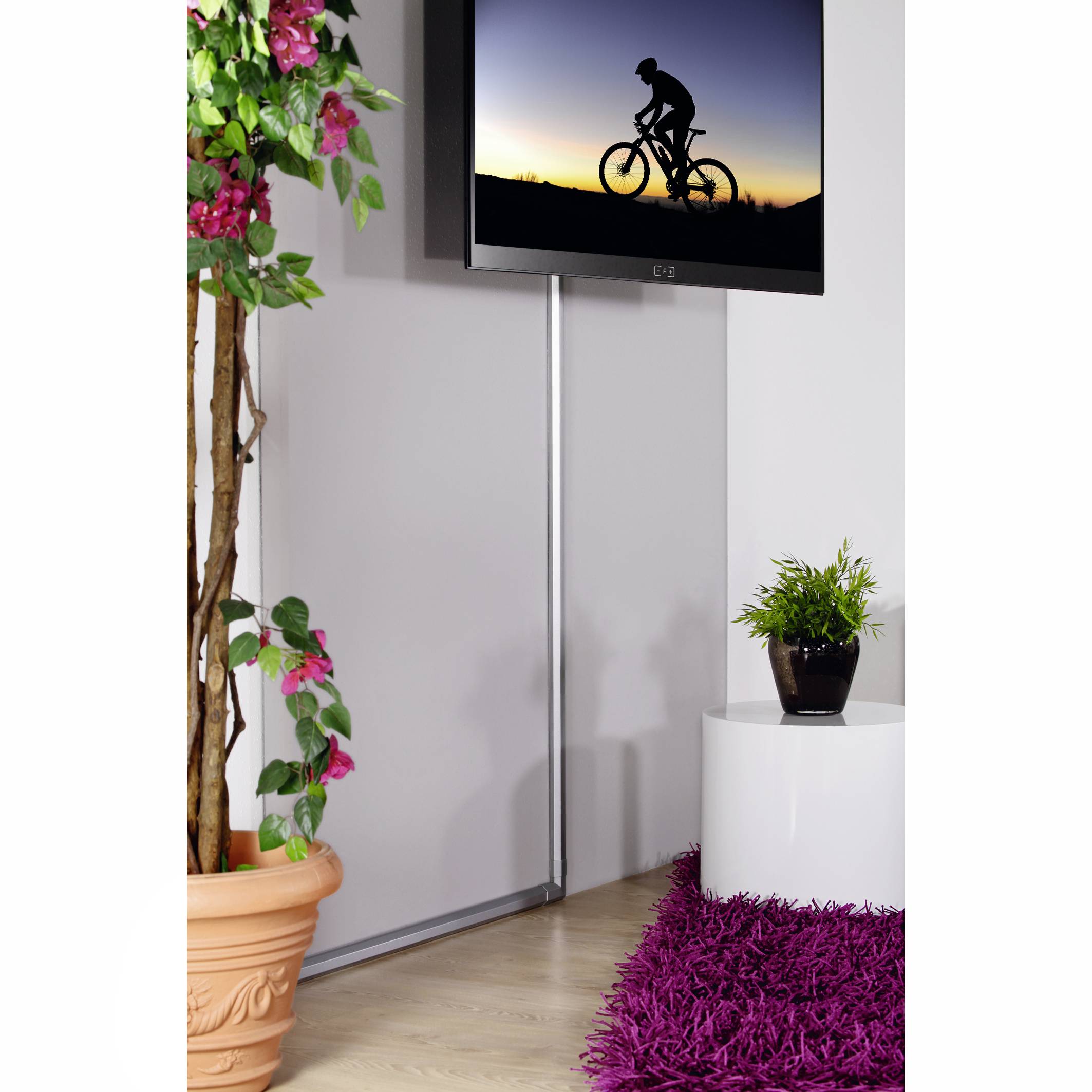 Ein Fahrradfahrer fährt im Sonnenuntergang auf einem Bildschirm an der Wand. Links steht eine Topfpflanze, daneben ein lila Teppich.