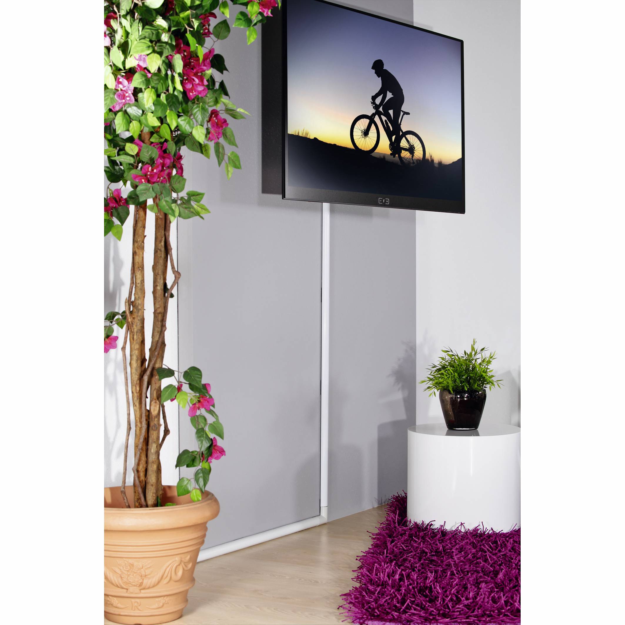 Ein Fernseher zeigt eine Silhouette eines Radfahrers im Sonnenuntergang. Daneben stehen eine Pflanze im Topf und ein Kunstbaum.