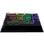 RAZER Huntsman V2 Tenkeyless Kabelgebunden Gaming-Tastatur Deutsch, QWERTZ Schwarz Beleuchtet, Handballenauflage, Abnehmbares