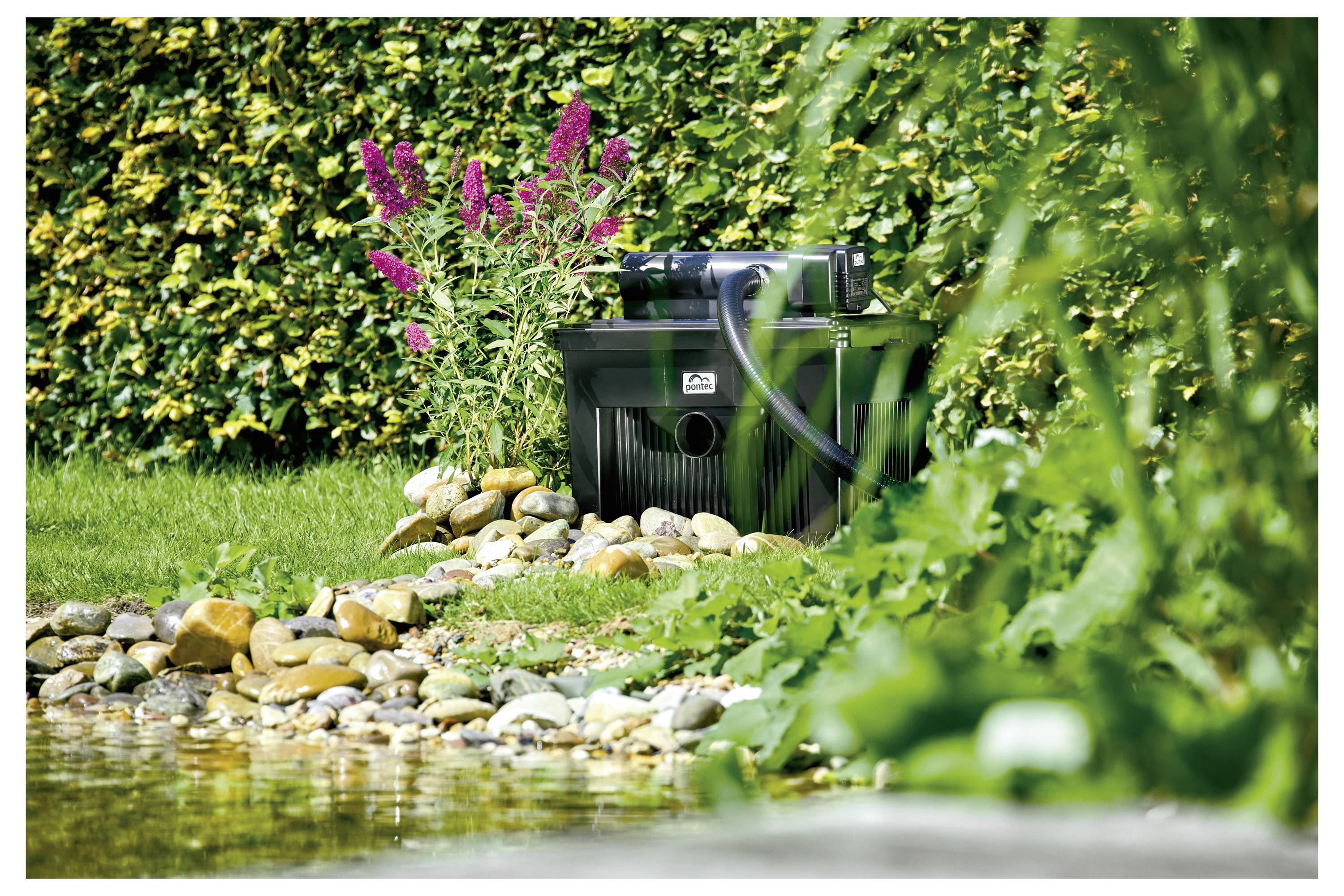 Ein Gartenteichfilter ist zwischen Steinen und Blumen in der Nähe eines Teichs platziert, mit grünem Blattwerk und einem Strauch mit lila Blüten im Hintergrund.