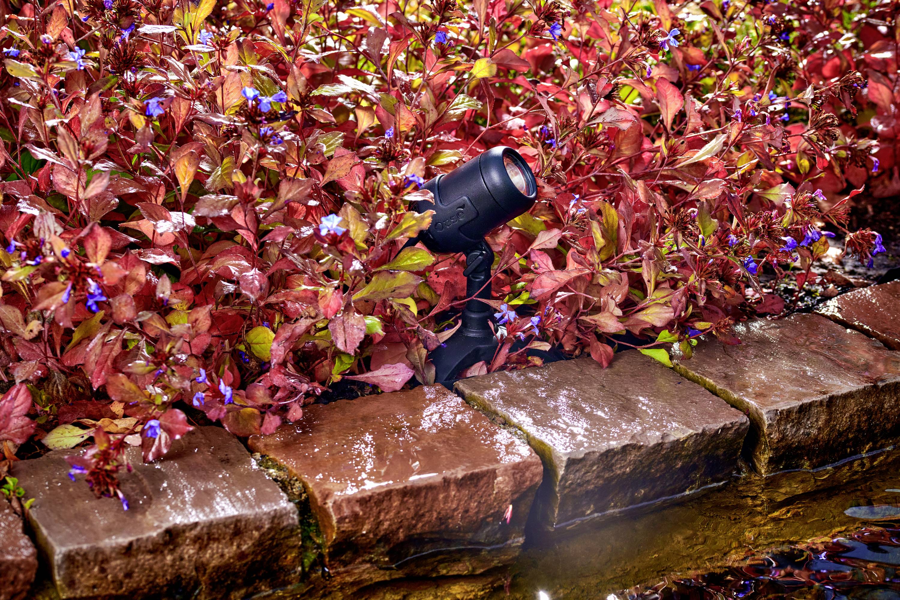 Oase 74350 Teichbeleuchtung LED Schwarz