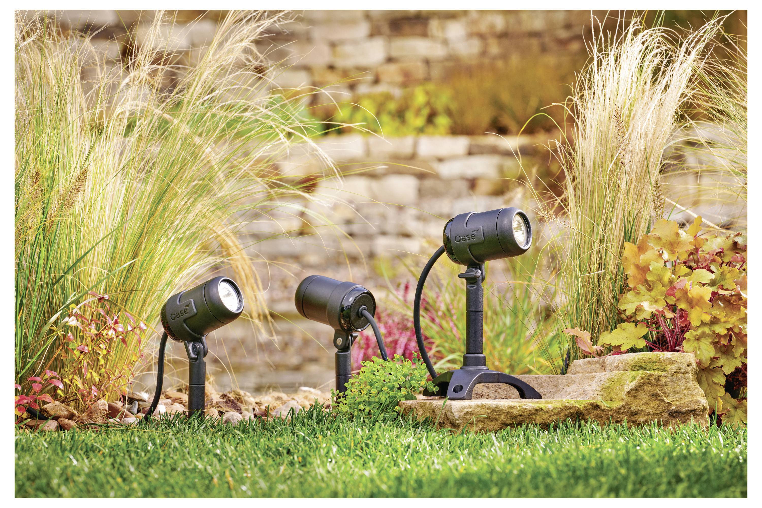 Gartenspots beleuchten Ziergräser und Blattwerk in der Nähe einer Steinmauer und heben damit Landschaftselemente in einem Außenbereich hervor.