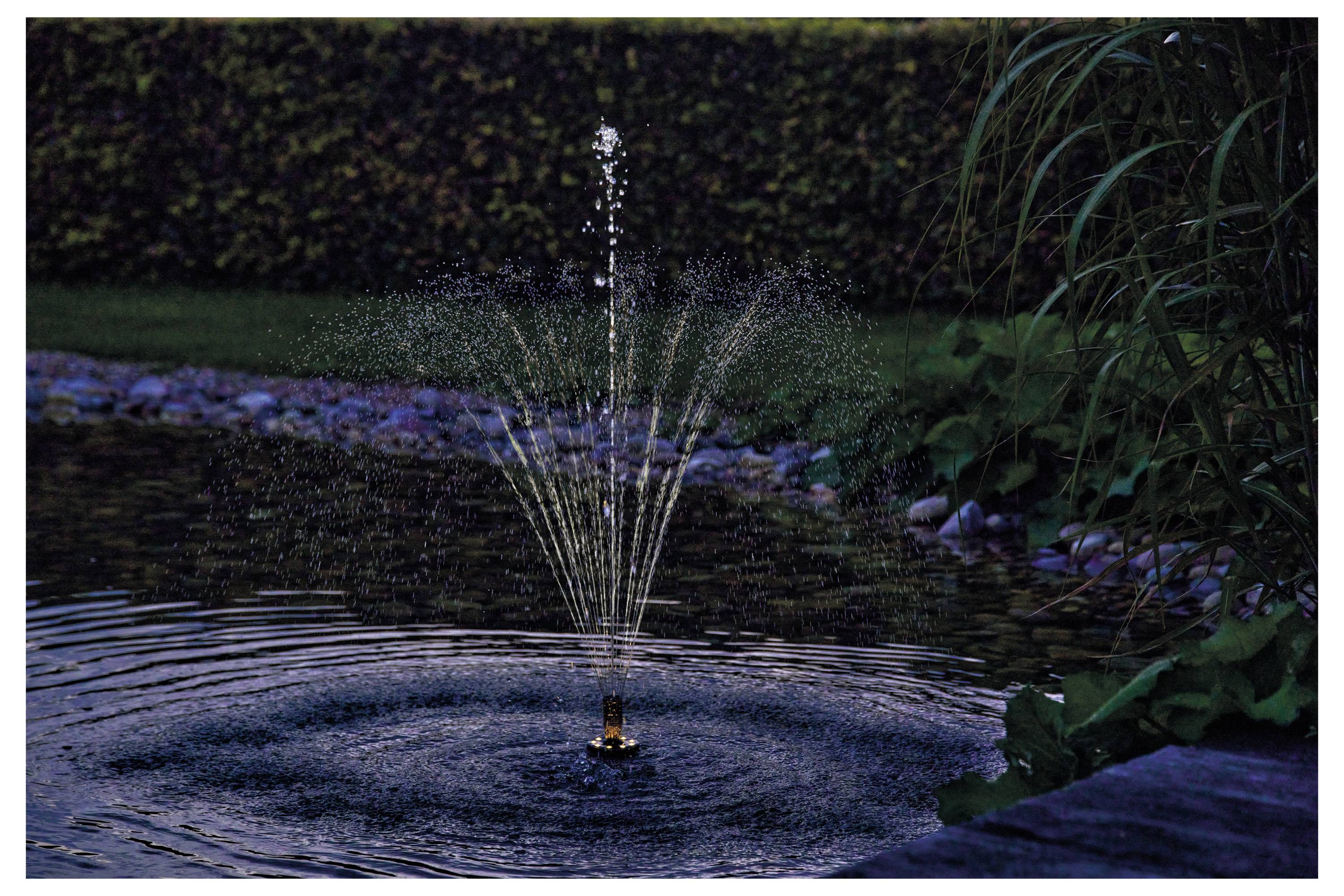 Ein Gartentümpel mit einem kleinen Brunnen in der Mitte. Wasser spritzt in einem sanften Bogen und erzeugt Wellen. Üppiges Grün umgibt den Teich.