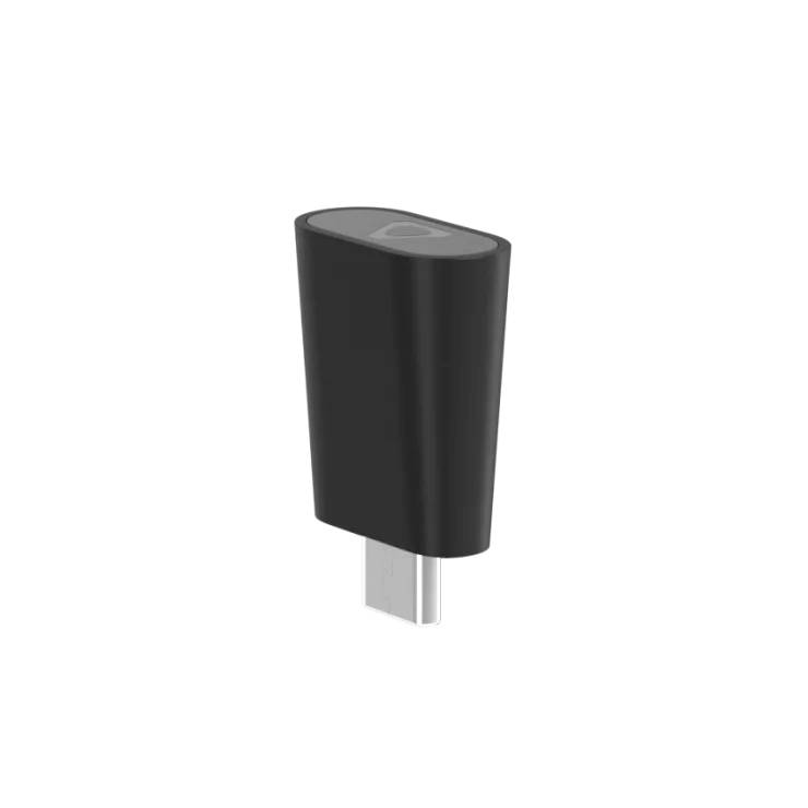 Schwarzer USB-C Adapter, steht vertikal.