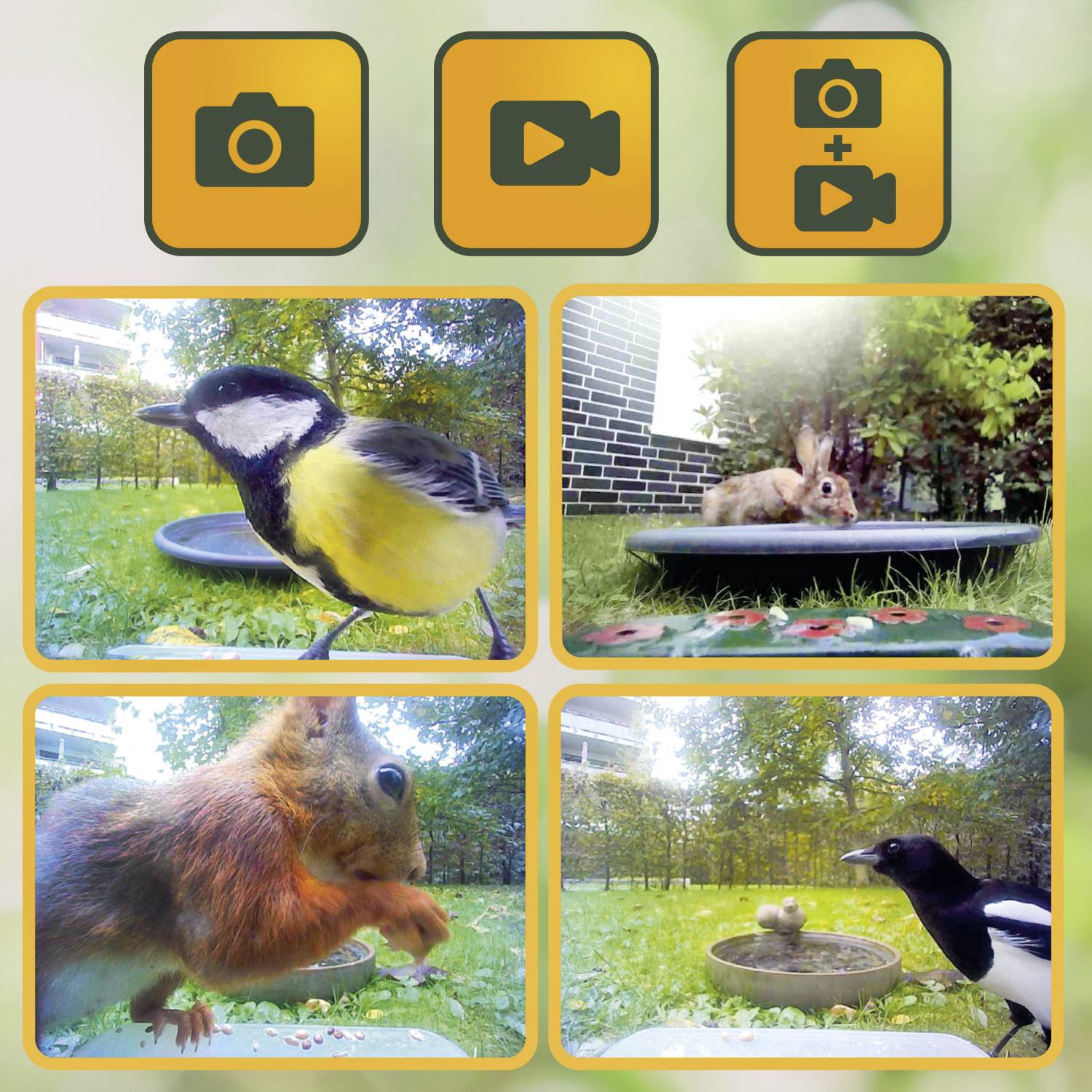 Easypix BirdyCam Wildkamera mit Futterspender Grün