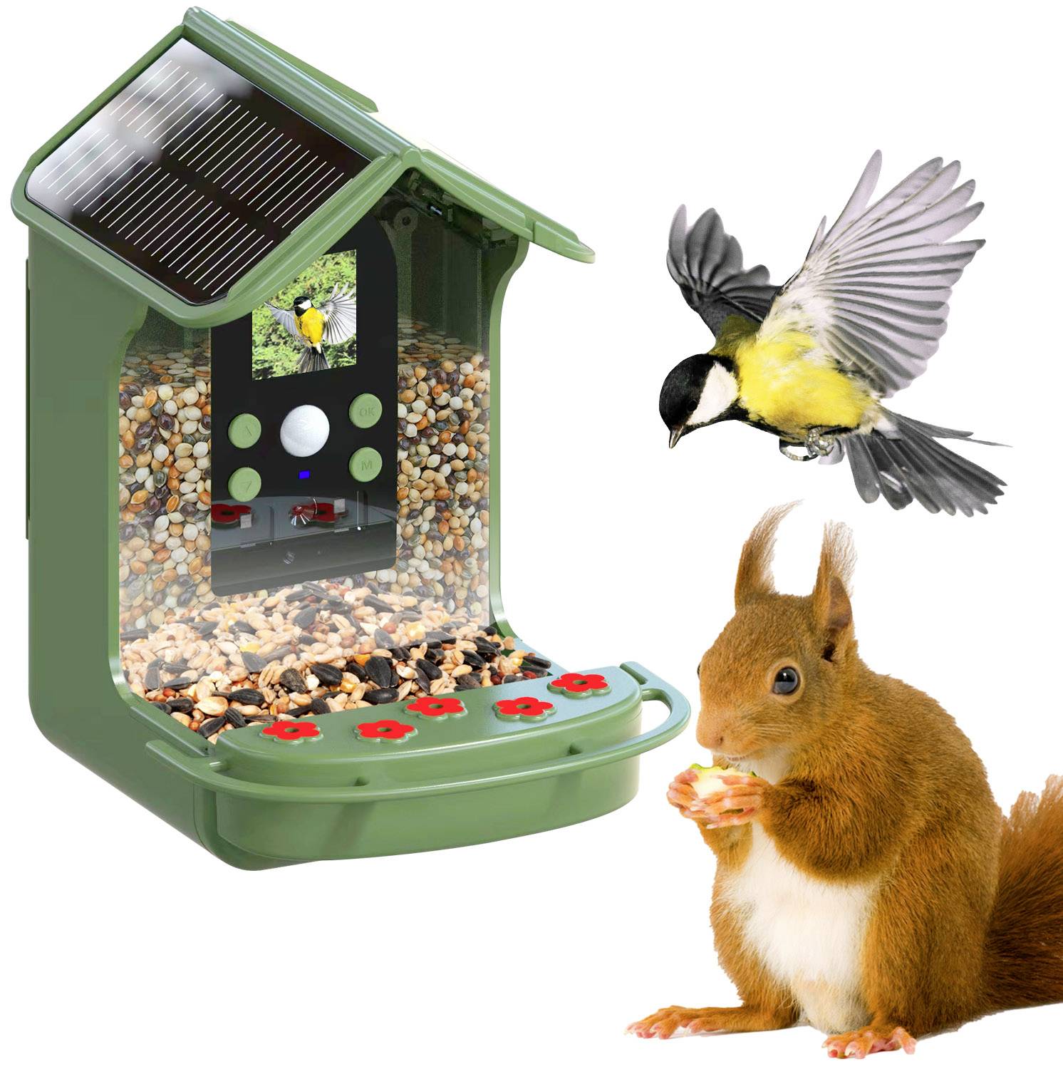 Easypix BirdyCam Wildkamera mit Futterspender Grün