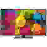 Panasonic TX-50MX700E LED-TV 126cm 50 Zoll EEK E (A - G) CI+, DVB-C, DVB-S, DVB-S2, DVB-T, DVB-T2, Full HD, Smart TV, UHD, WLAN