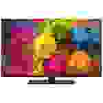 Panasonic TX-43MX700E LED-TV 108cm 43 Zoll EEK F (A - G) CI+, DVB-C, DVB-S, DVB-S2, DVB-T, DVB-T2, Full HD, Smart TV, UHD, WLAN