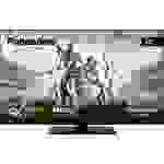 Panasonic TX-50MX600E LED-TV 126cm 50 Zoll EEK F (A - G) CI+, DVB-C, DVB-S, DVB-S2, DVB-T, DVB-T2, Smart TV, UHD, WLAN Schwarz