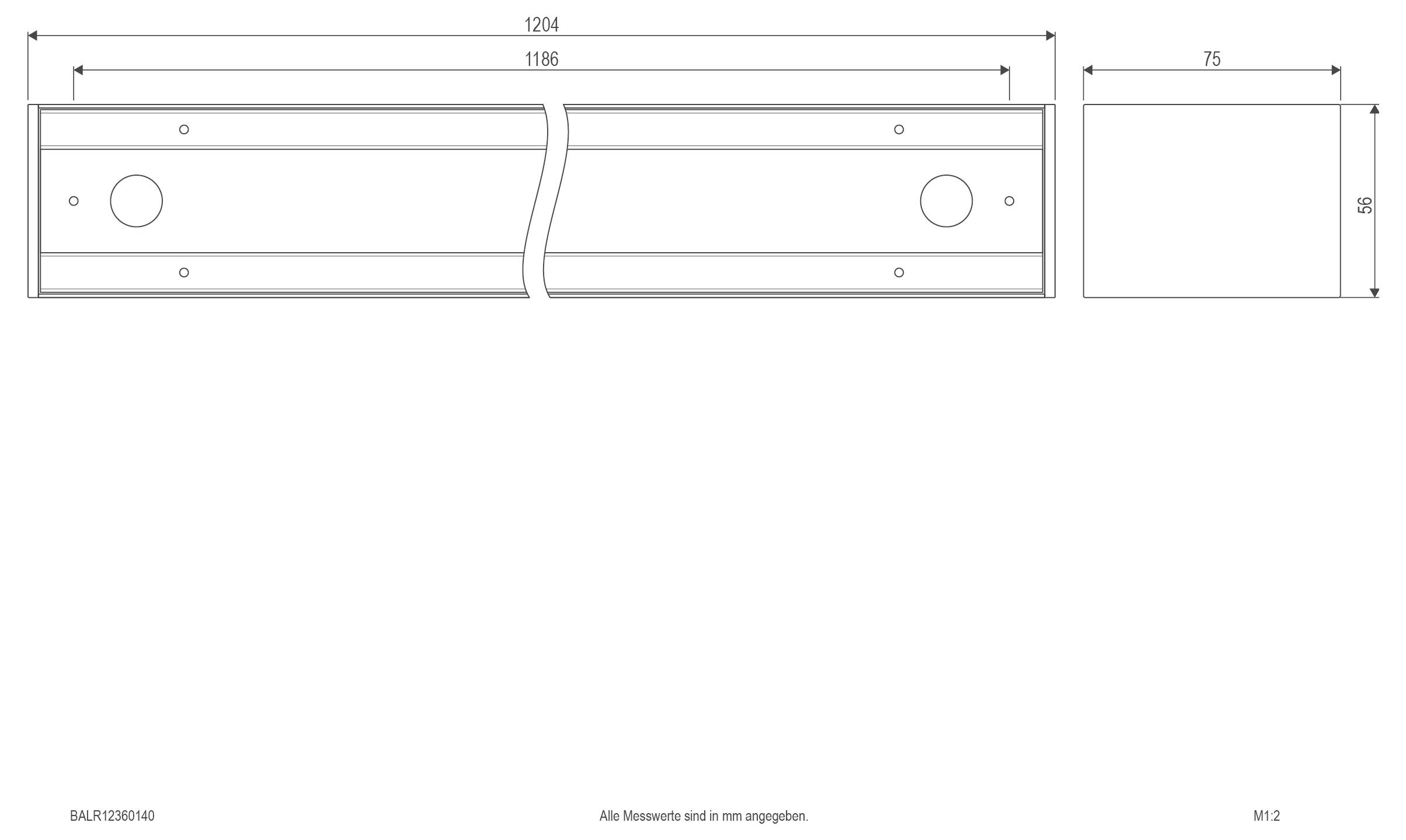 Technische Zeichnung eines rechteckigen Panels, das in zwei Abschnitte unterteilt ist, mit einer Länge von 1204 mm und einer Breite von 75 mm, mit Montagelöchern und einem Ausschnittsprofil.