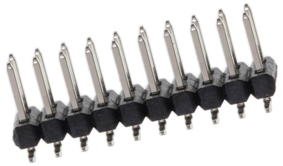 Ein 10-poliger Stecker mit schwarzer Kunststoffbasis und Metallkontakten, die in zwei Reihen angeordnet sind.