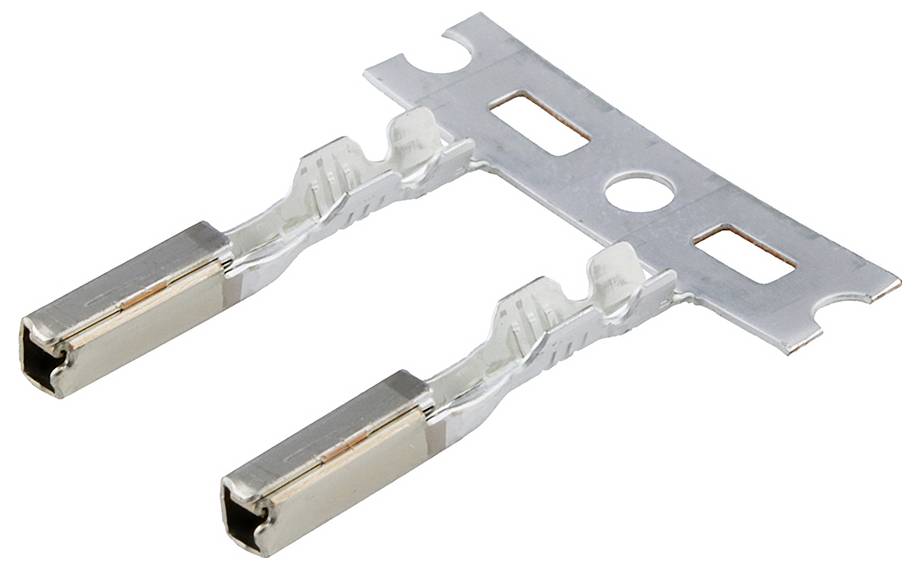 Zwei metallische elektrische Steckverbinder, die an einem silbernen Befestigungsstreifen angebracht sind und für sichere Verdrahtungsverbindungen in elektrischen Systemen ausgelegt sind.