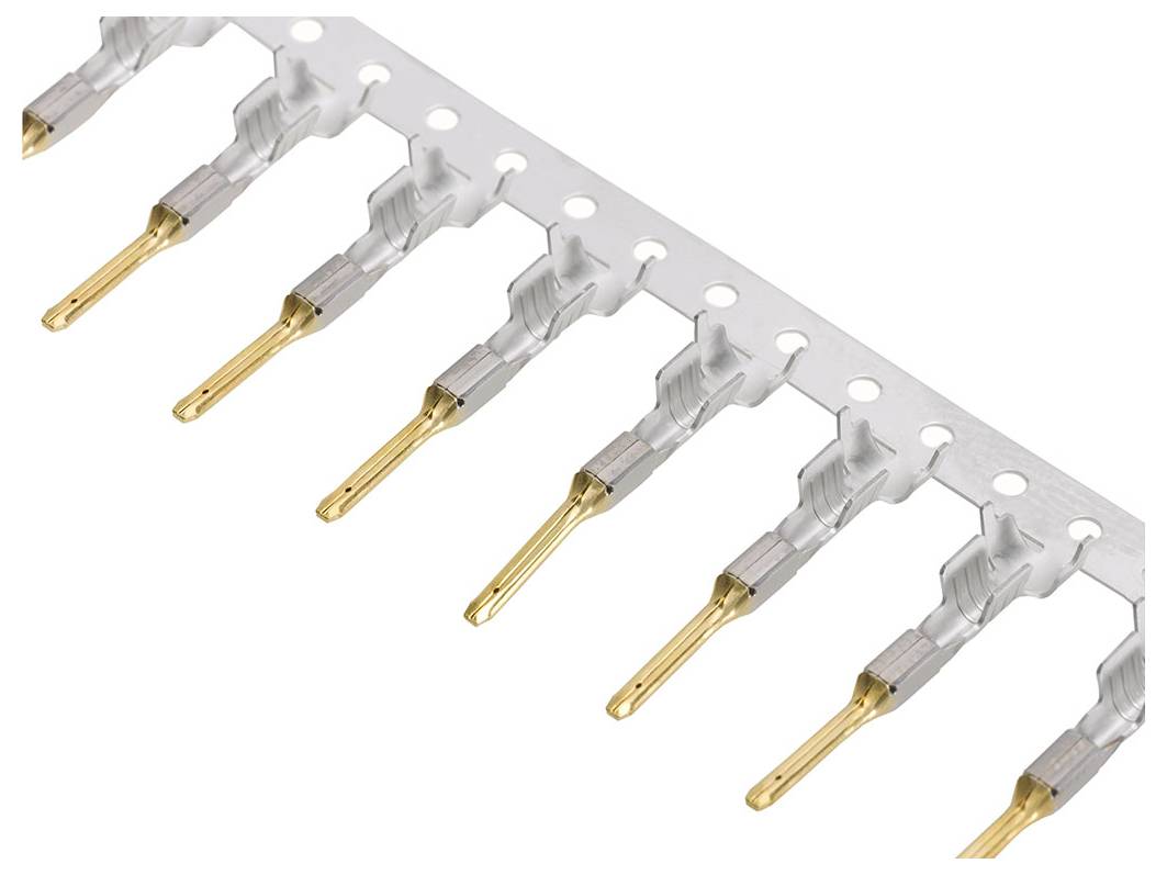 Ein Streifen vergoldeter elektrischer Kontakte in einer Reihe angeordnet, befestigt an einem perforierten Metallblech, verwendet für elektronische Komponenten.