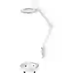 TOOLCRAFT 2389201+2391157 LED Lupenleuchte 60 SMD LED 8D 3X inkl. Rollbares Rundstativ Vergrößerung TOOLCRAFT 2389201+2391157 LED Lupenleuchte 60 SMD LED 8D 3X inkl. Rollbares Rundstativ Vergrößerung