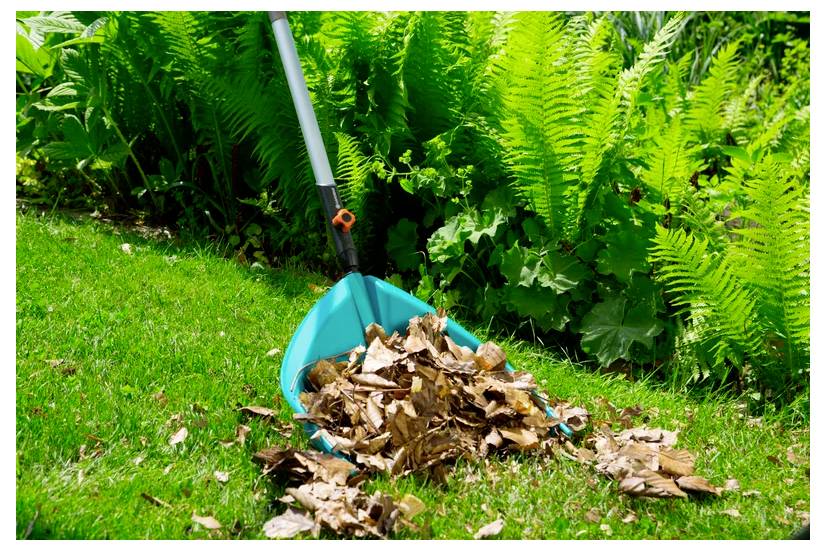Eine Harke, die an üppigen Farnen lehnt, mit einem Haufen brauner Blätter auf grünem Gras, was Herbstgartenarbeit andeutet.