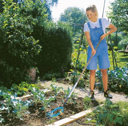 Eine Person in Jeans-Latzhose ist beim Gärtnern und bearbeitet mit einer Hacke ein Gemüsebeet mit saftig grünen Blättern. Sonnenlicht und Grünflächen füllen den Hintergrund.
