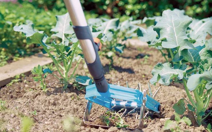 GARDENA Combisystem Sternfräse mit Jätemesser 03195-20 14cm