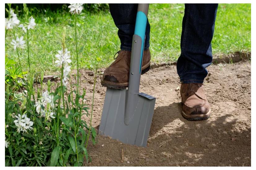 Eine Person in braunen Stiefeln, die mit einer grauen Schaufel Erde in einem Garten nahe weißer Blumen umgräbt und damit Garten- oder Pflanzaktivitäten andeutet.