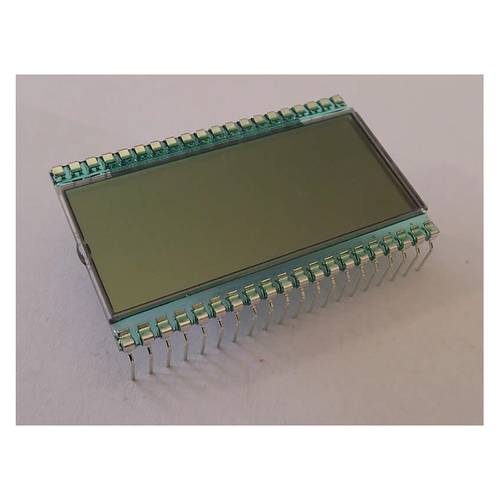 Display Elektronik LCD-Display DE152RS-20/7.5
