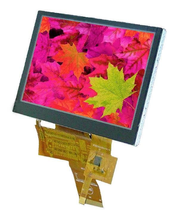 Display Elektronik Grafik-Display Weiß 480 x 272 Pixel (B x H x T) 105.50 x 67.20 x 4.6mm