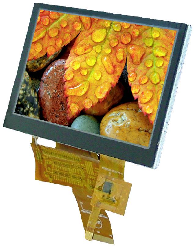 Display Elektronik Grafik-Display Weiß 800 x 480 Pixel (B x H x T) 120.70 x 75.80 x 4.475mm