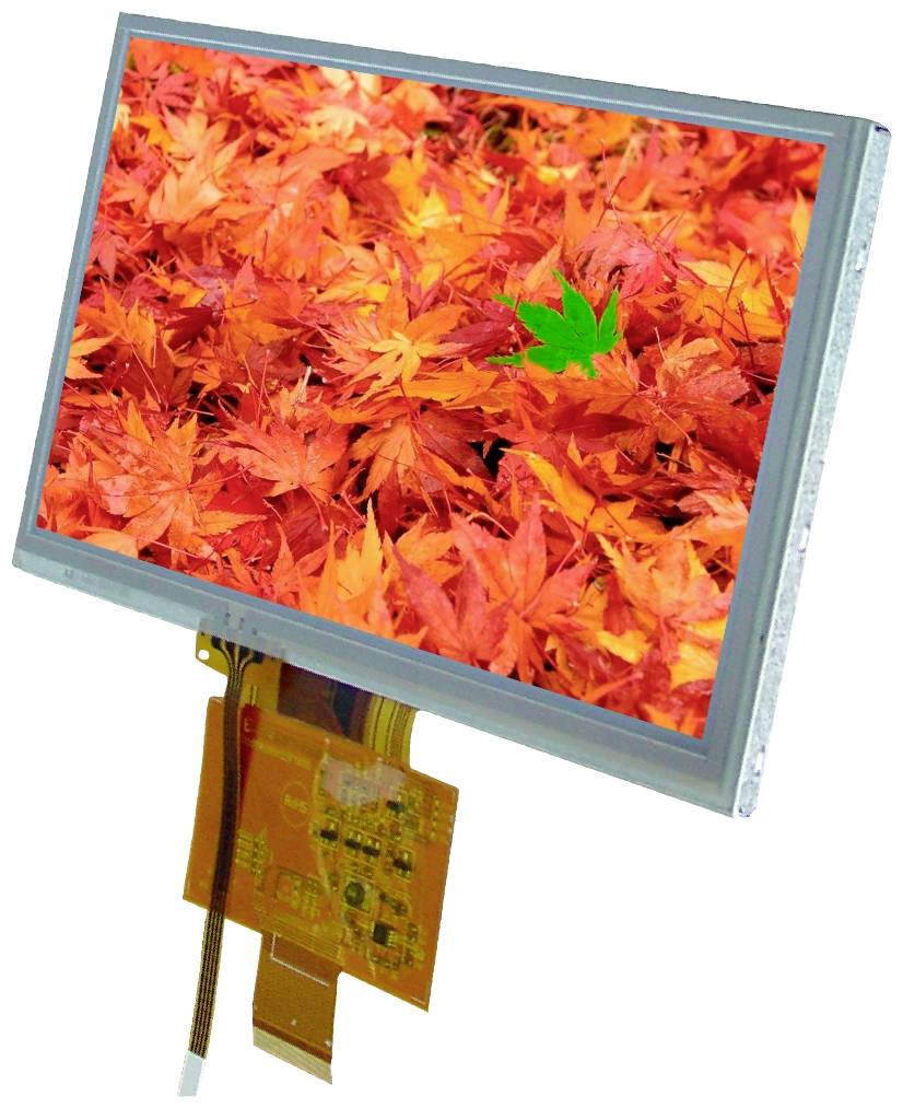 Display Elektronik Grafik-Display Weiß 800 x 480 Pixel (B x H x T) 165.00 x 100.00 x 7.0mm