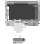 Display Elektronik Grafik-Display Weiß 128 x 64 Pixel (B x H x T) 93.00 x 70.00 x 15.1mm