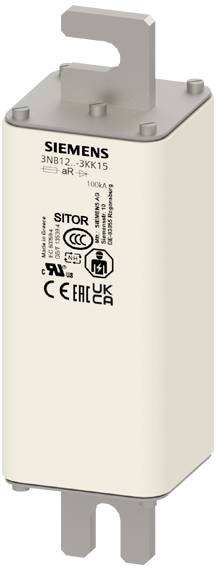 Siemens 3NB12253KK15 Sicherungseinsatz 1St.