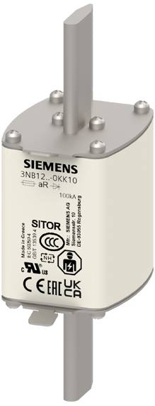 Sicherungseinsatz von Siemens, Modell 3NB12-0KK10, 100A. Enthält Sicherheitskennzeichnungen und CE-Zertifizierungssymbole.