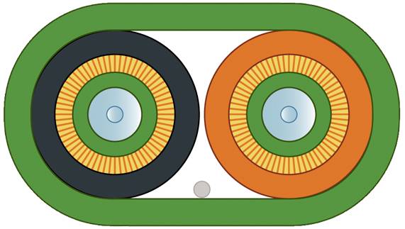 Ein schematisches Diagramm mit zwei nebeneinander liegenden, großen, farbigen Kreisen in einem grünen Oval.