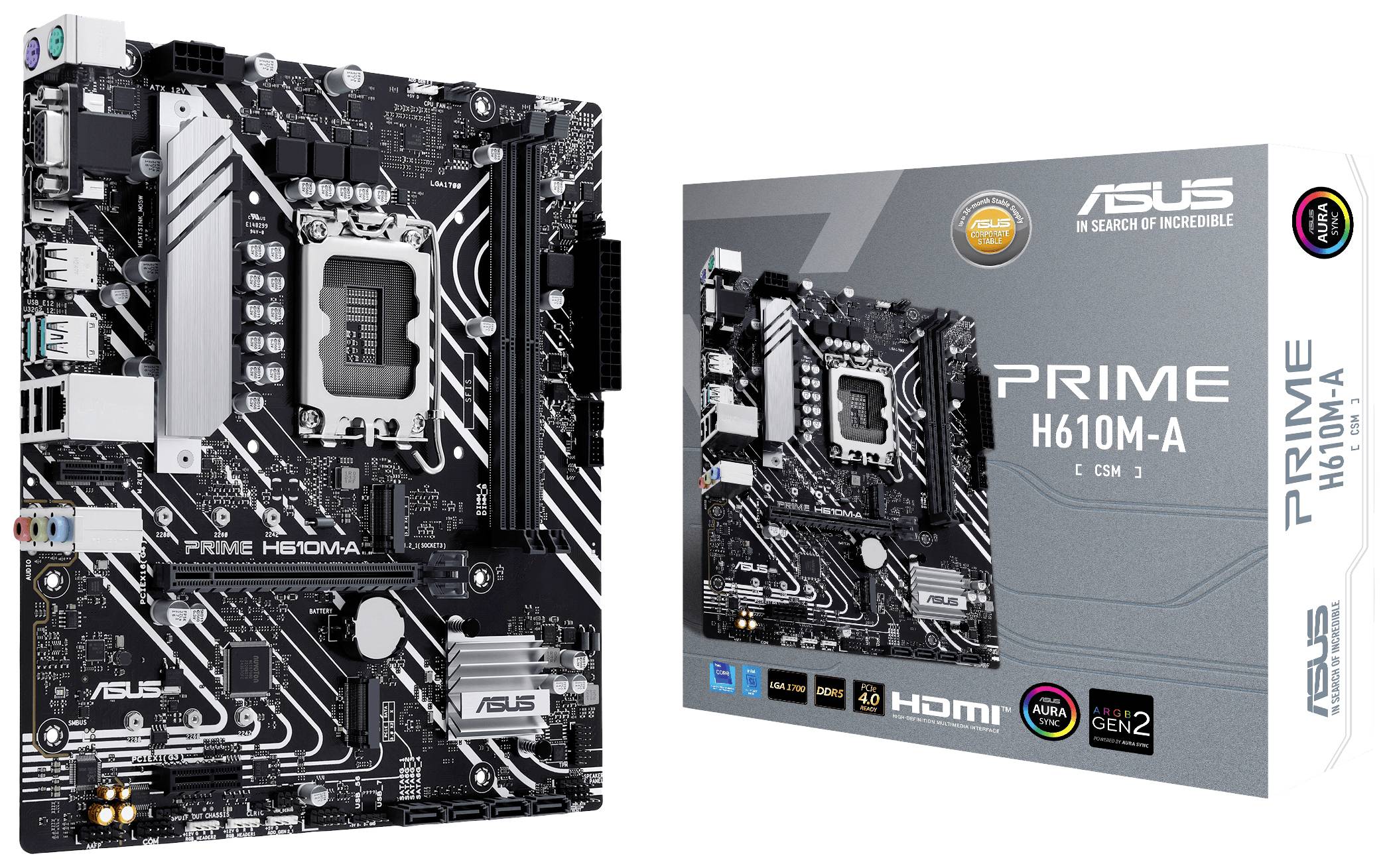 Asus PRIME H610M-A-CSM Mainboard Sockel (PC) Intel® LGA 1700 Formfaktor (Details) Micro-ATX Mainboard-Chipsatz Intel® H610