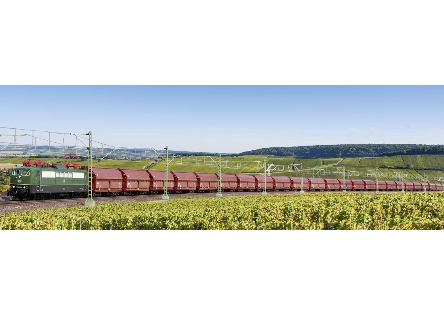 Ein langer Güterzug fährt durch eine grüne, hügelige Landschaft unter klarem Himmel. Im Vordergrund sind Weinreben sichtbar.