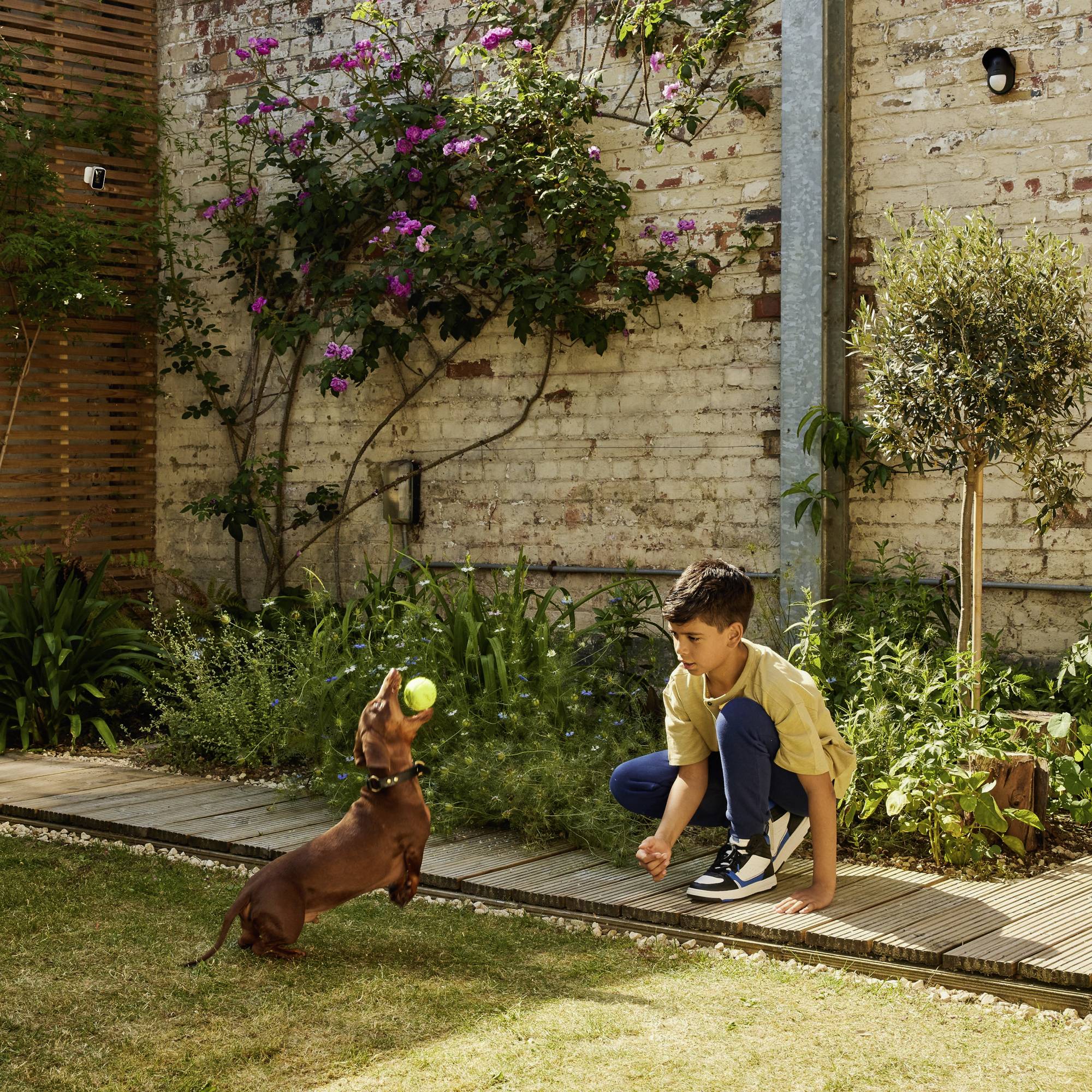 YALE AL-EPIR-1A-G Funk-Alarmanlagen-Erweiterung Funk-Bewegungsmelder