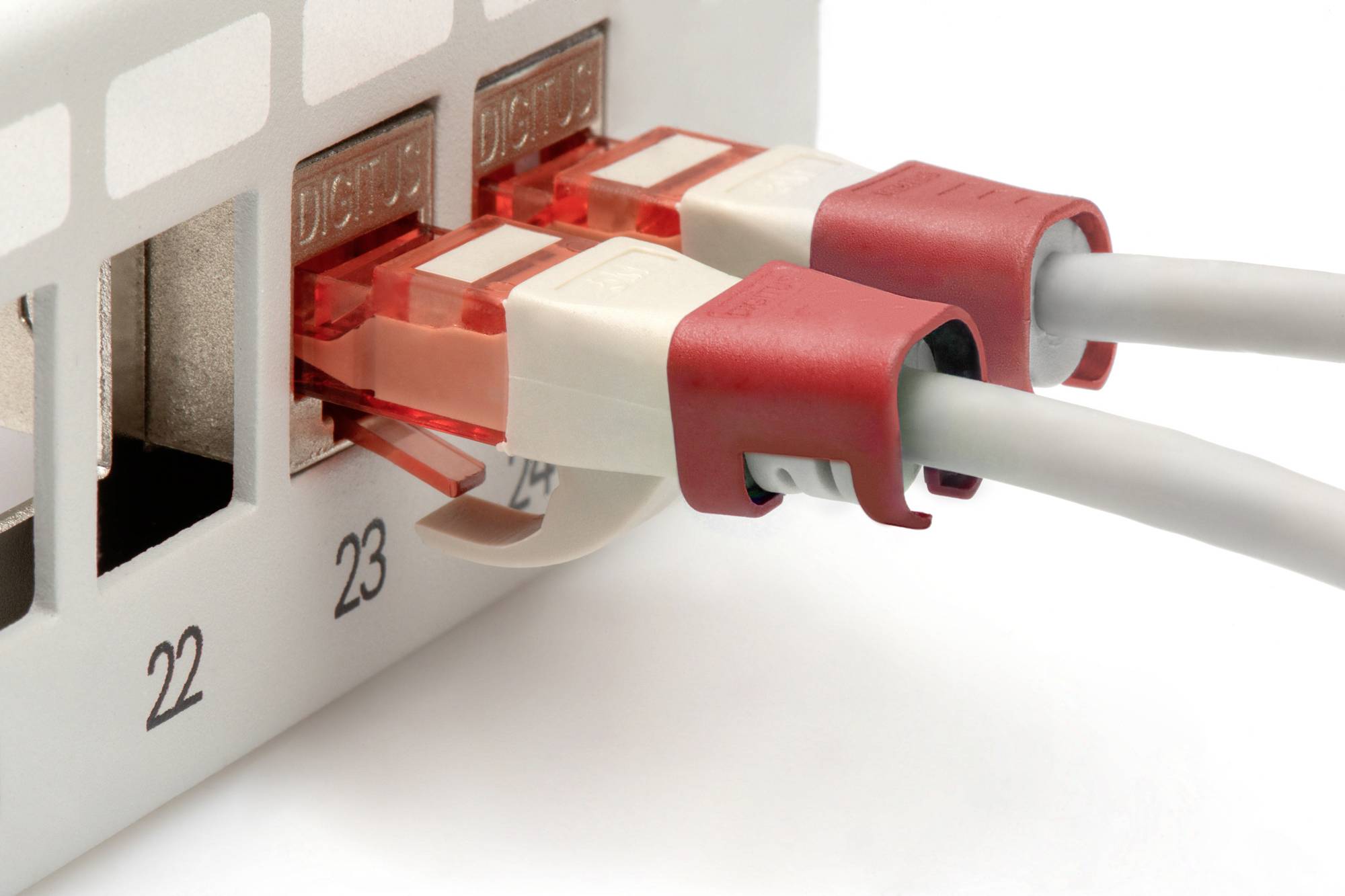 Zwei Netzwerkkabel in roten Anschlüssen an einem Router oder Switch.