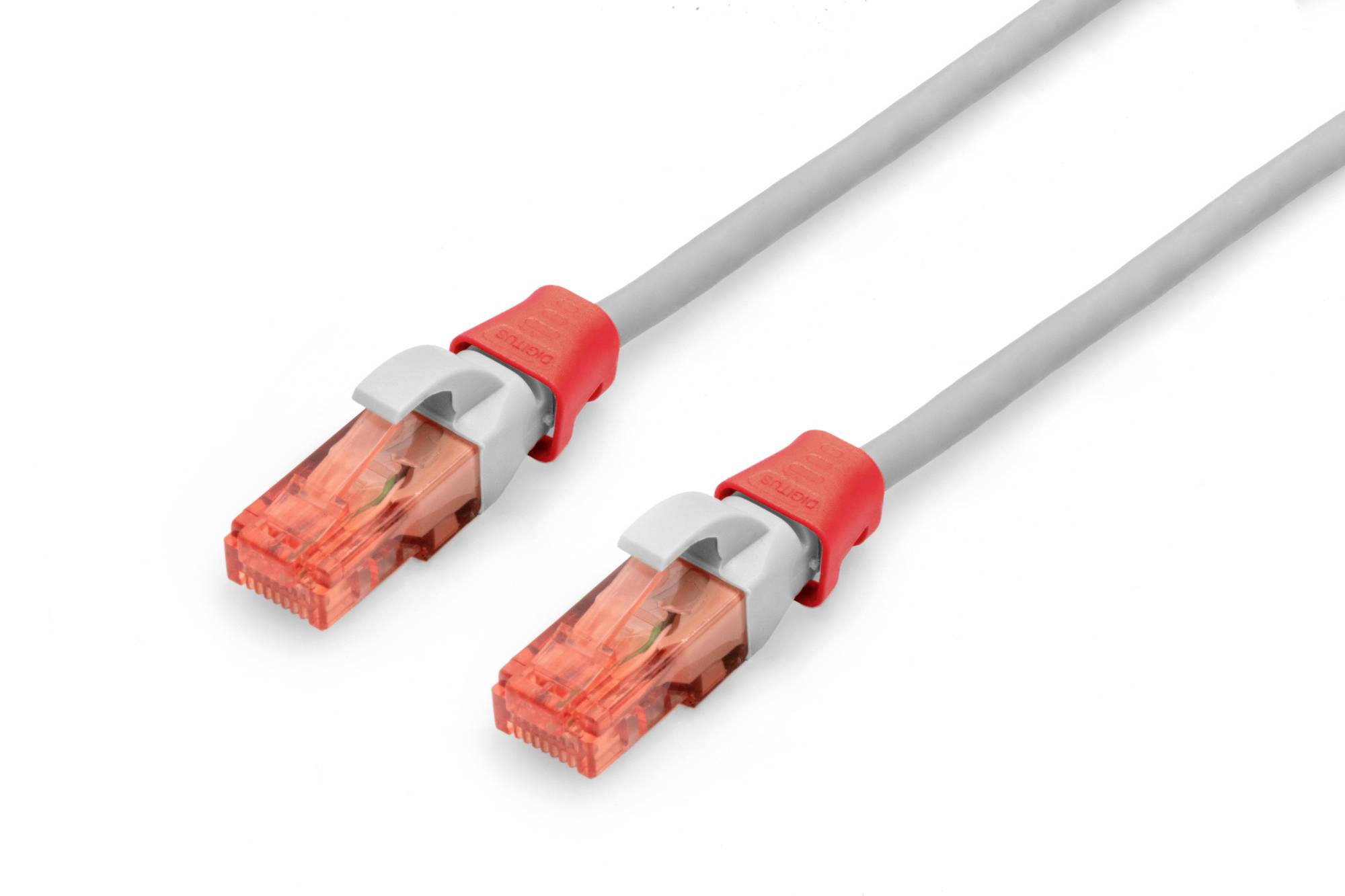 Zwei graue Ethernet-Kabel mit roten Steckern zeigen die Steckerenden. Sie symbolisieren Konnektivität und Netzwerktechnologie.