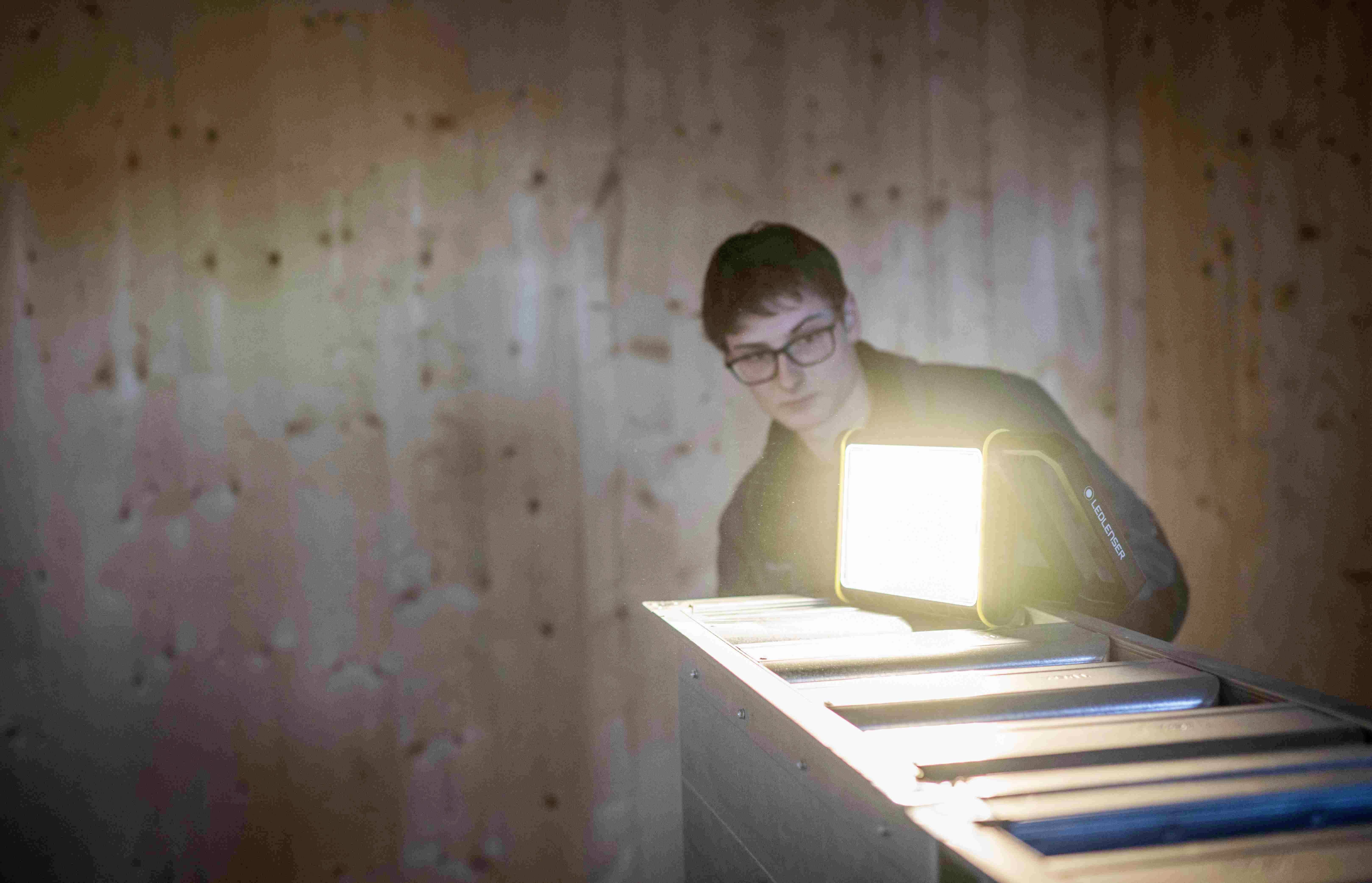 Ledlenser AF8R Work LED Arbeitsleuchte akkubetrieben, netzbetrieben 500lm, 2300lm, 4000lm