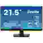 Iiyama ProLite LED-Monitor EEK E (A - G) 54.6 cm (21.5 Zoll) 1920 x 1080 Pixel 16:9 1 ms HDMI®, DisplayPort, Kopfhörer (3.5 mm Klinke), USB 2.0 IPS