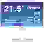 Iiyama ProLite LED-Monitor EEK E (A - G) 54.6 cm (21.5 Zoll) 1920 x 1080 Pixel 16:9 0.4 ms HDMI®, DisplayPort, Kopfhörer (3.5 mm Klinke), USB 3.2