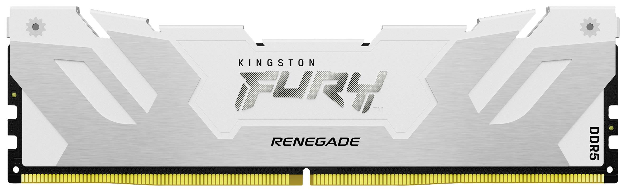 RAM-Modul von Kingston mit der Aufschrift 'Fury Renegade' und 'DDR5'. Silbernes Design mit schwarzem und weißem Text.
