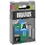 Novus Tools 042-0782 Feindrahtklammern Typ 53 800 St. Abmessungen (L x B) 18 mm x 11.3 mm