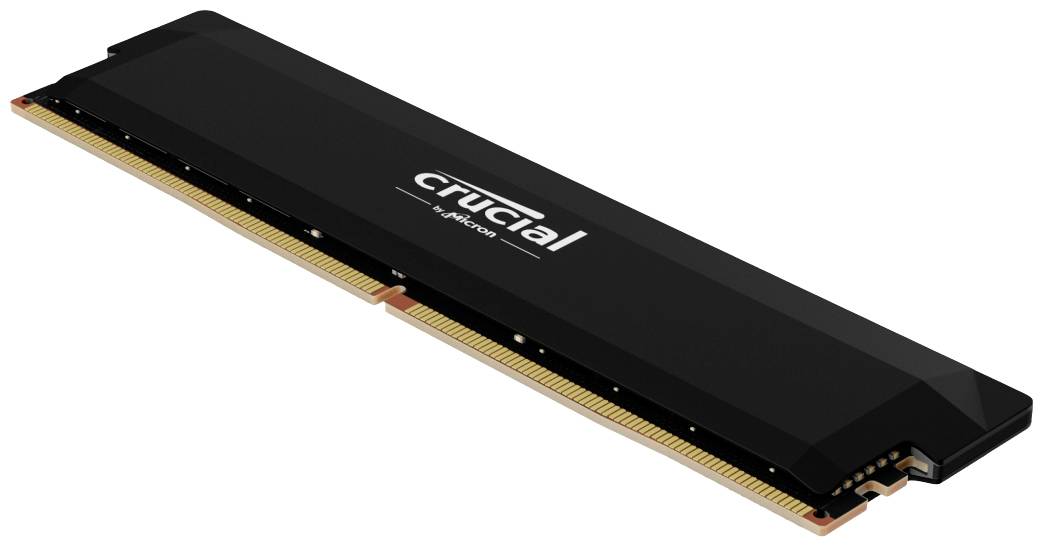 Crucial Pro OC PC-Arbeitsspeicher Modul DDR5 16 GB 1 x 16 GB 6000 MHz 288pin DIMM CL36 CP16G60C36U5B
